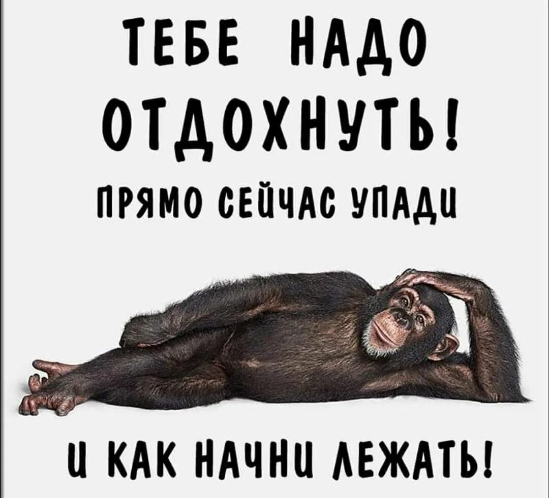 Не надо уставать. Устал отдохни. надо отдыхать. устала отдохни. отдохни прикол.