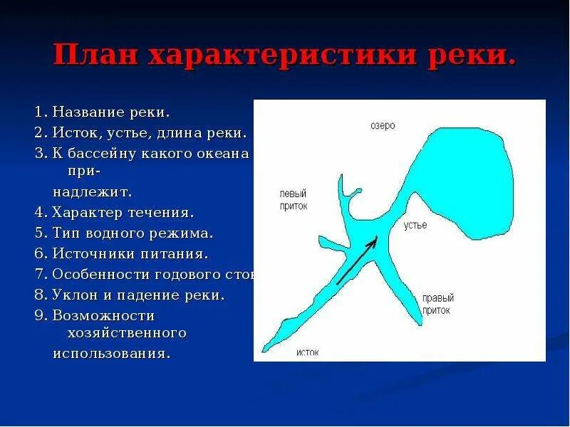 Функции устьев