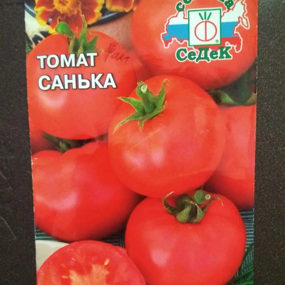 Помидоры санька отзывы фото урожайность. Семена томат санька. томат санька f1. сорт помидор санька. санька ультраранний томат.