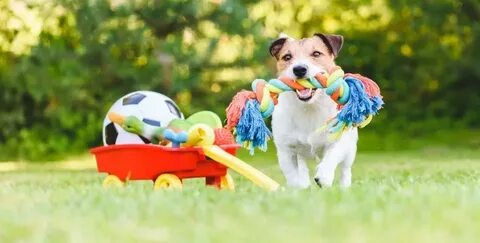 Pets made