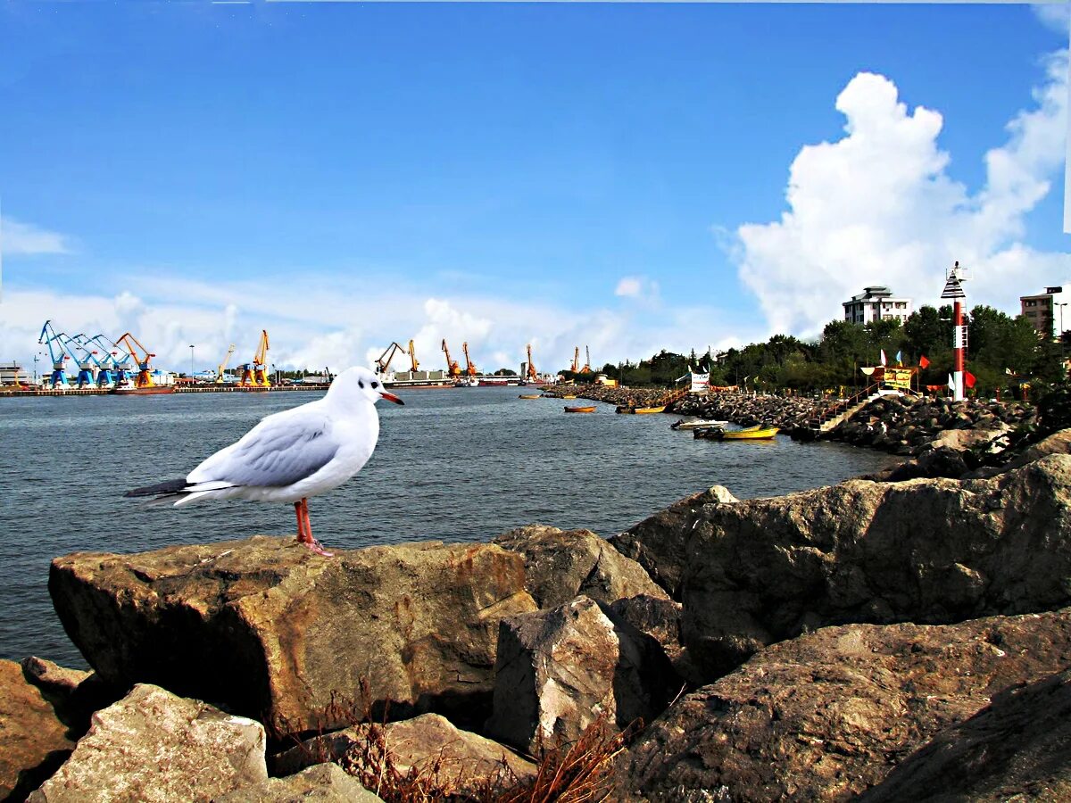 Бендер энзели. Иран бандар анзали. Порт энзели иран. Порт энзели иран. Бендер энзели иран порт.