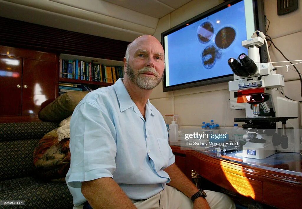 создатель новой жизни. создатель новой жизни. внутренний мир абстракция. мир доброты и красоты. ребефинг кэндис.