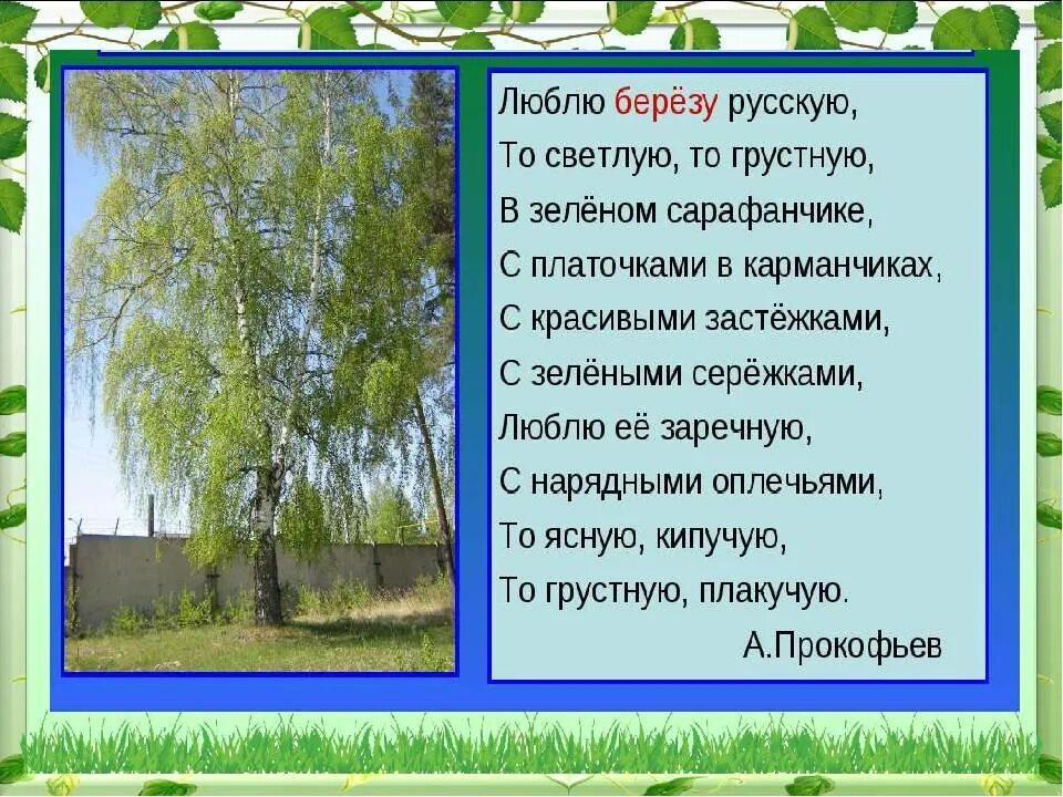 Русская березка стихотворение. Стих Березка. Стихотворение береза. Стихотворен про березуие. Стих про березу для детей.