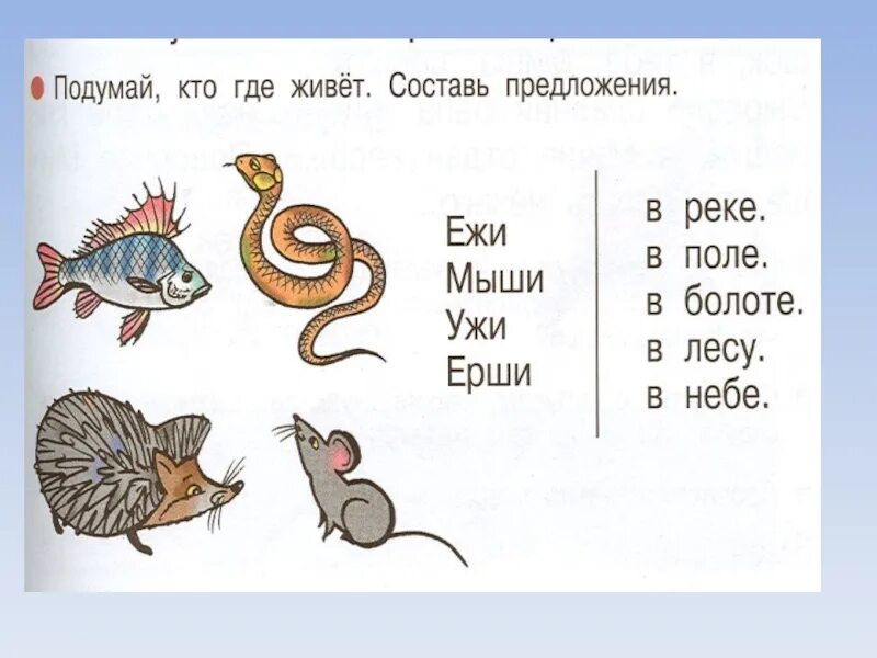 Жи ши задания для дошкольников. Чтение слов с буквой ж. Чтение слов с буквой ж для дошкольников. Слоги с буквой ш задания для дошкольников.