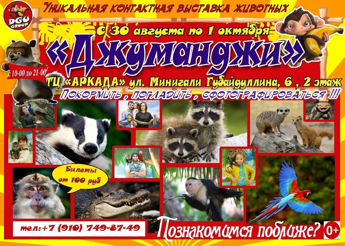 Выставка зоопарк животных. Джуманджи выставка животных. джуманджи выставка животных новокузнецк. выставка экзотических животных. контактный зоопарк джуманджи.