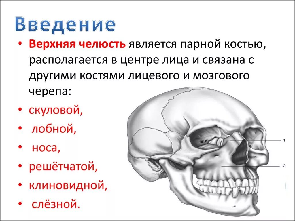 Боли костей лица. Череп перелом скуловой кости. Переломы костей лицевого и мозгового черепа. Оскольчатый перелом скуловой кости. Перелом верхней скуловой кости.