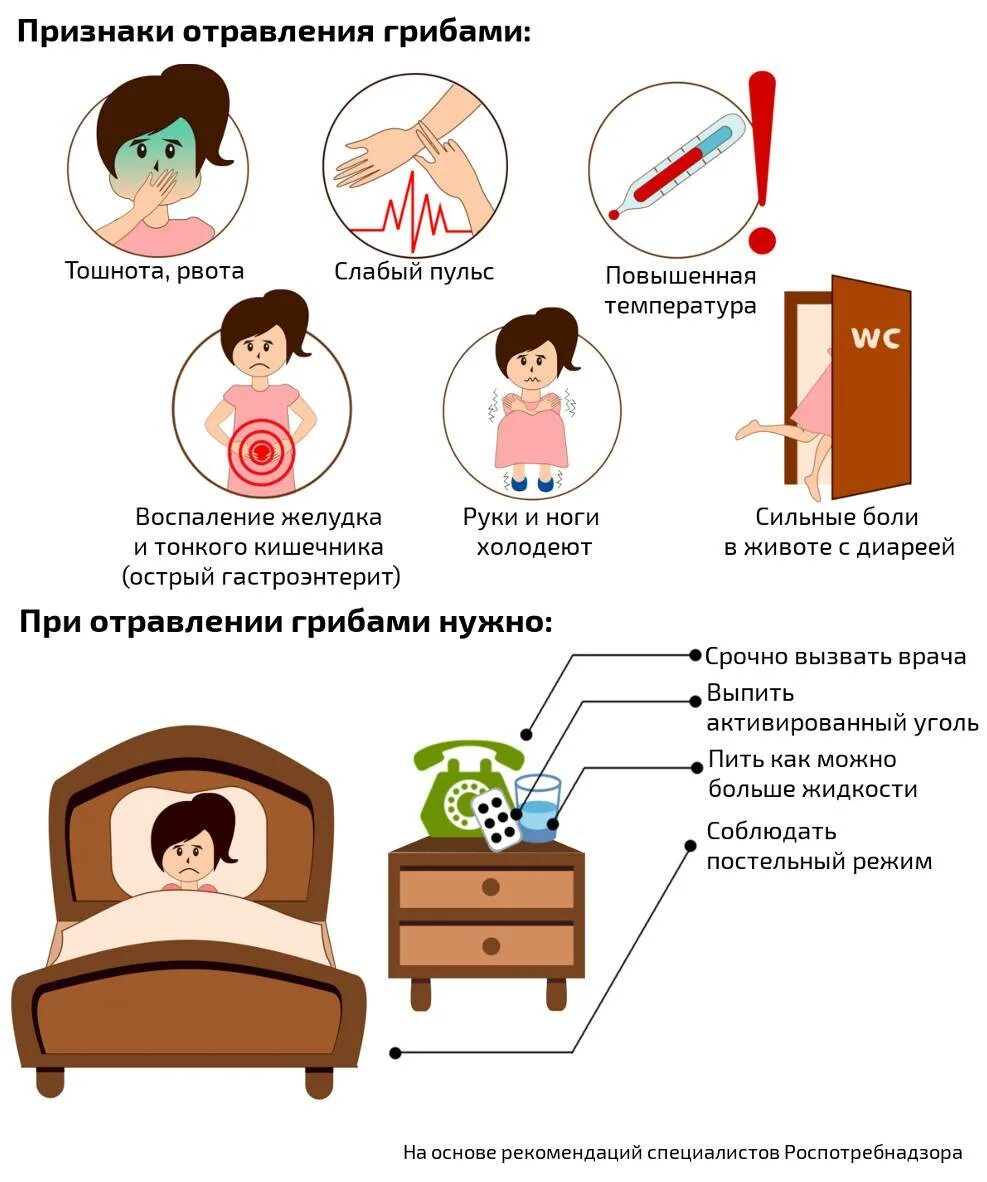 Как отличить рвоту. Ранние симптомы отравления грибами. Первые признаки отравления грибами. Симптомы при отравлении грибами. Признаки при отравлении грибами.