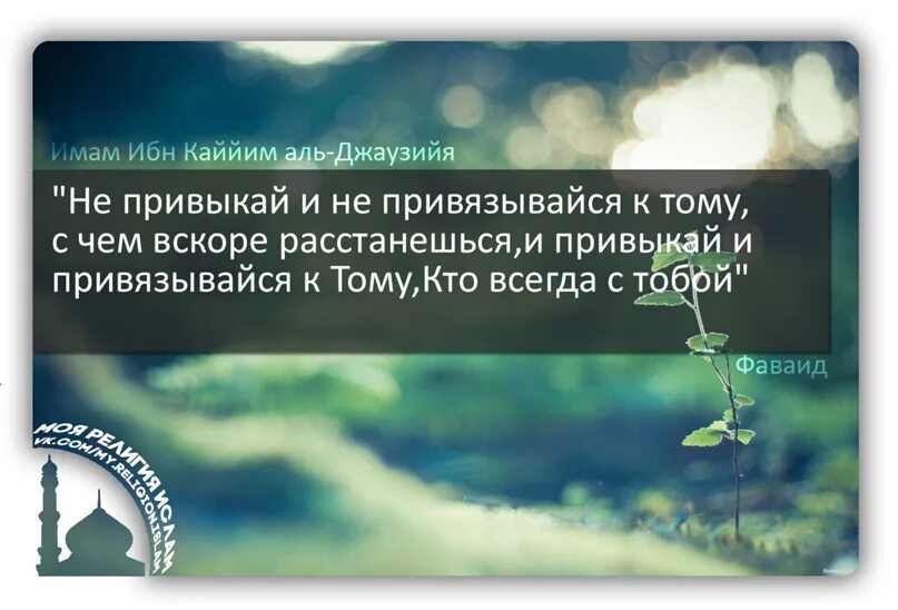 Ибн кайим аль. Имам ибн Аль Каййим. Высказывание ибн Аль Каййим. Имам ибн Аль Каййим сказал. Изречения ибн Каййим.