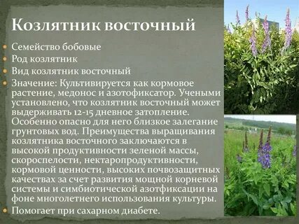 Многолетнее развитие