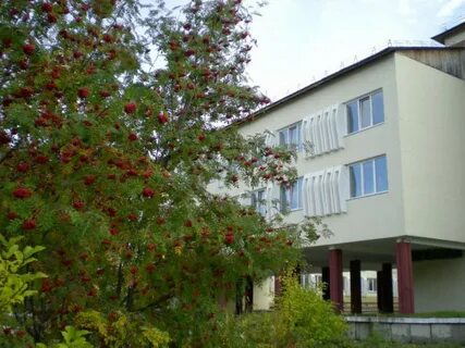 Лицей 103 железногорск красноярский электронный