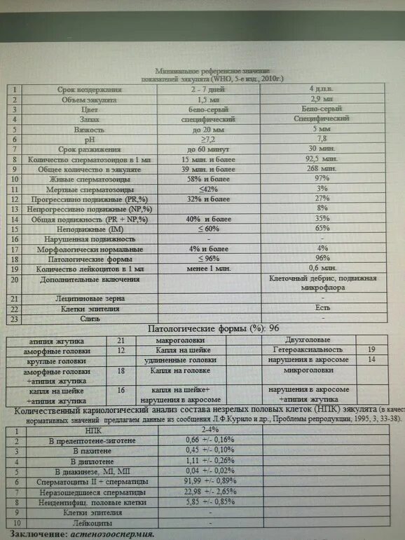Заключение андролога для эко. Заключение андролога для эко образец. Заключение уролога для эко образец. Справка от андролога для эко. Анализы для эко мужчине