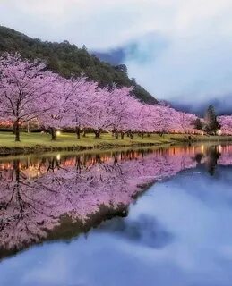 Что такое spring