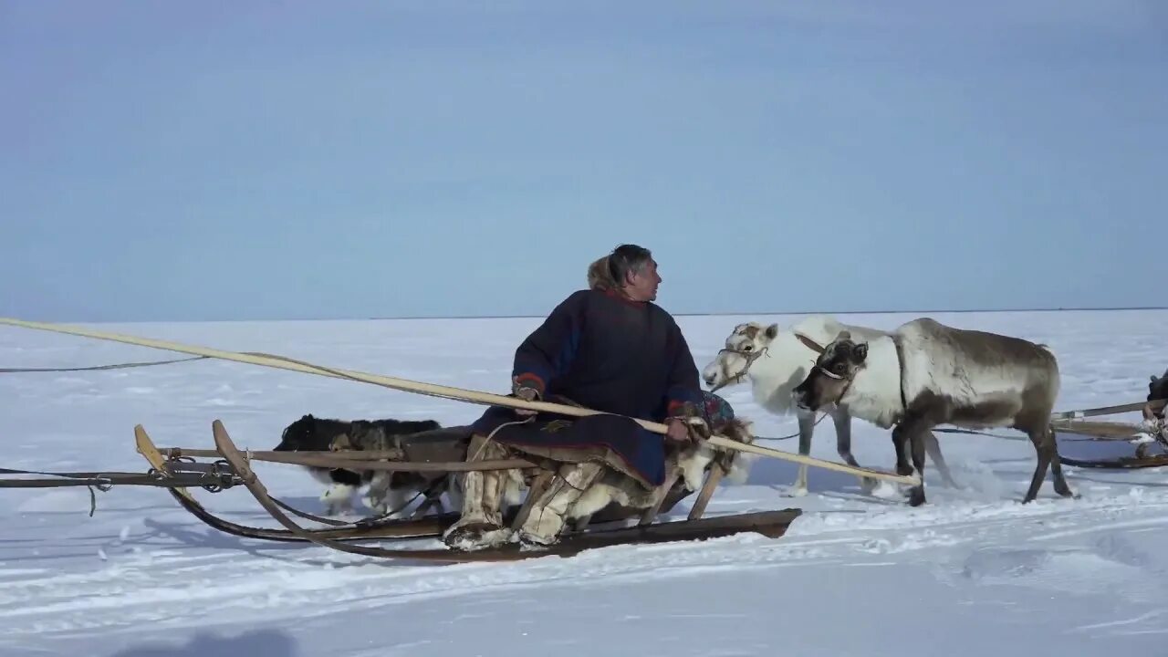 Великий северный путь отзывы. Великий Северный путь Россия 2018.