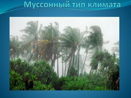 Муссоны тропических широт