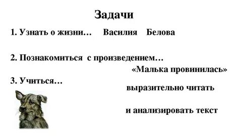Тест по рассказу еще про мальку