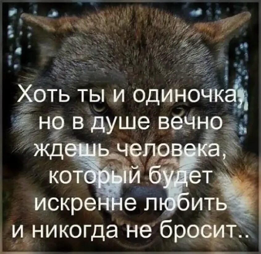 Сегодня шла ты одиноко. Сегодня шла ты одиноко