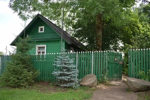 Ломоносов сосновая