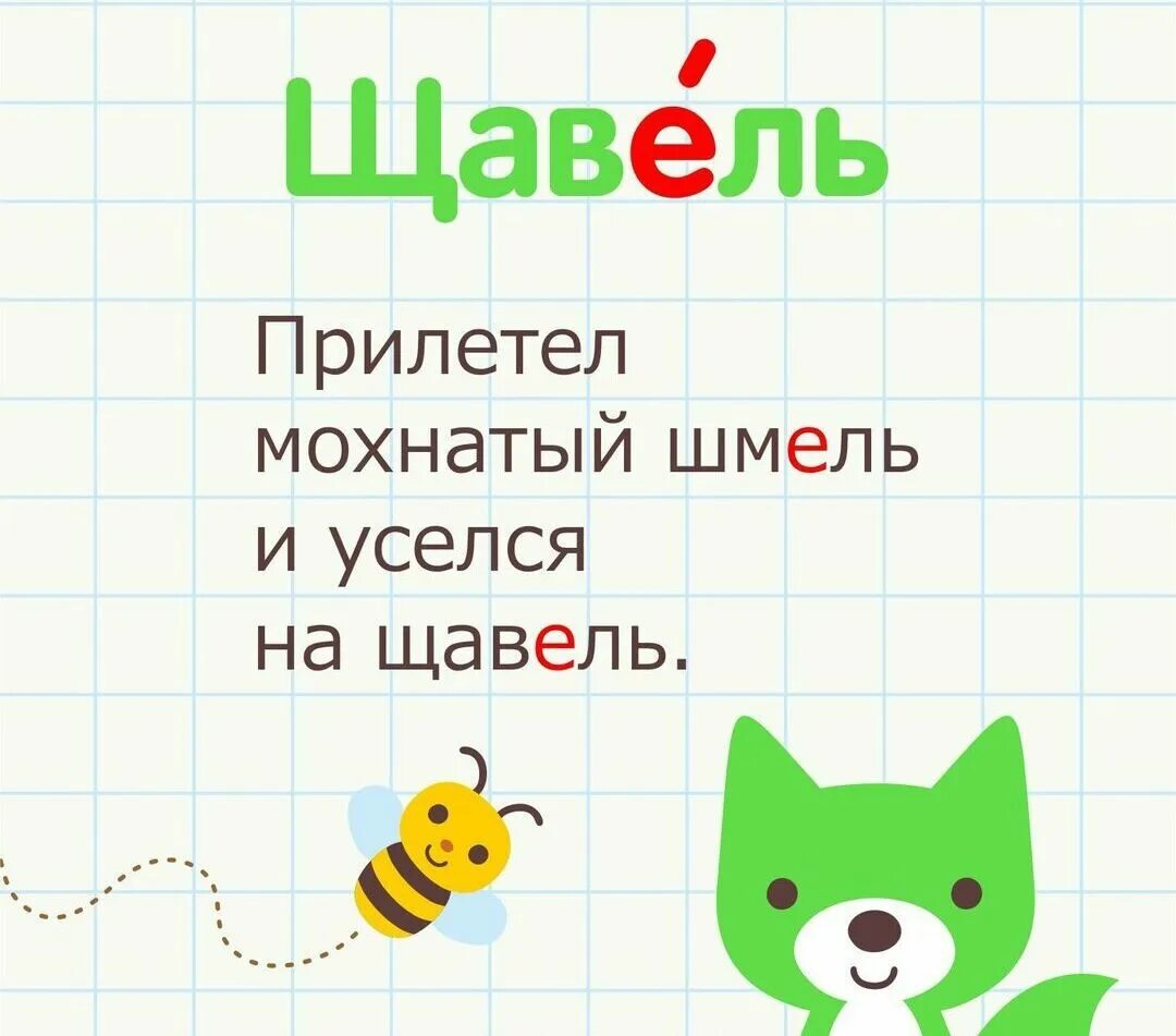 Щавель словарное слово. Запомните правильные ударения. Щавель ударение. Как запомнить словарное слово щавель. Запоминаем правильное ударение