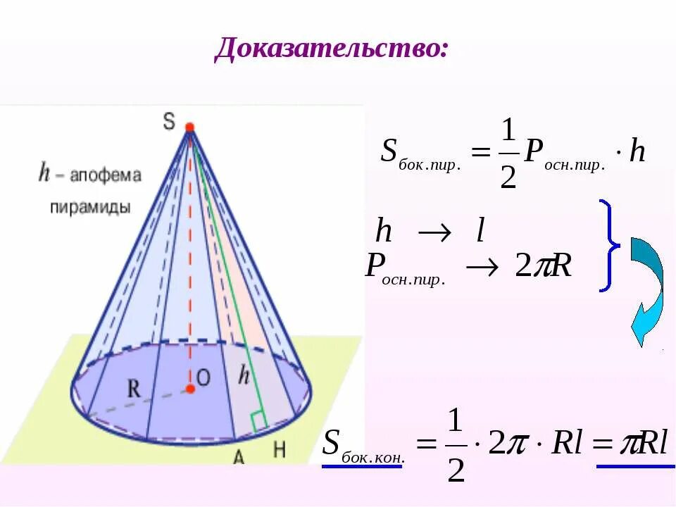 Определите длину апофемы