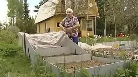 Огород кизимы