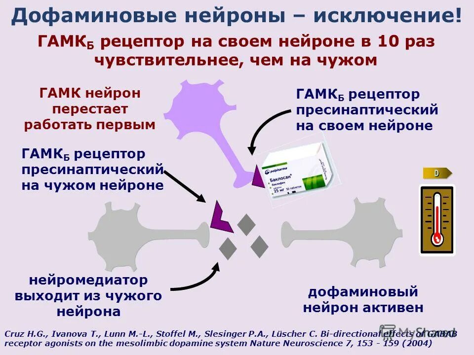 диаграмма зависимости от дофамина. дофамин гормон. график дофамина. дофаминовая зависимость. дофаминергическая теория шизофрении.
