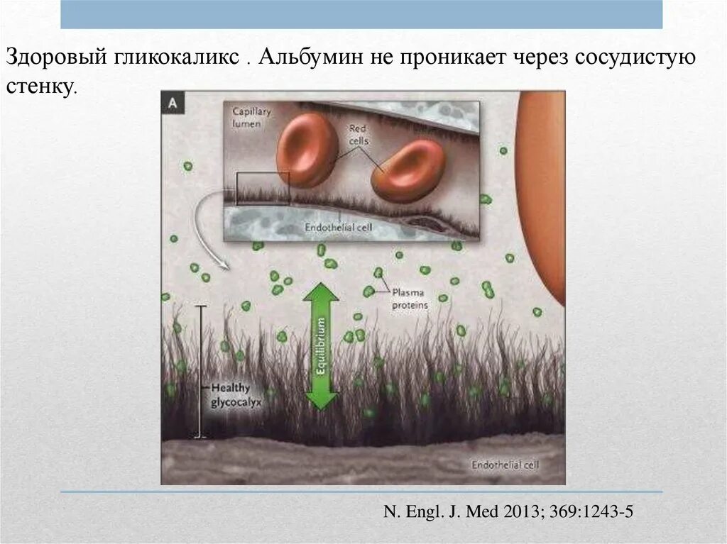Проникает проникает через одежду