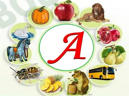 Пенис киски