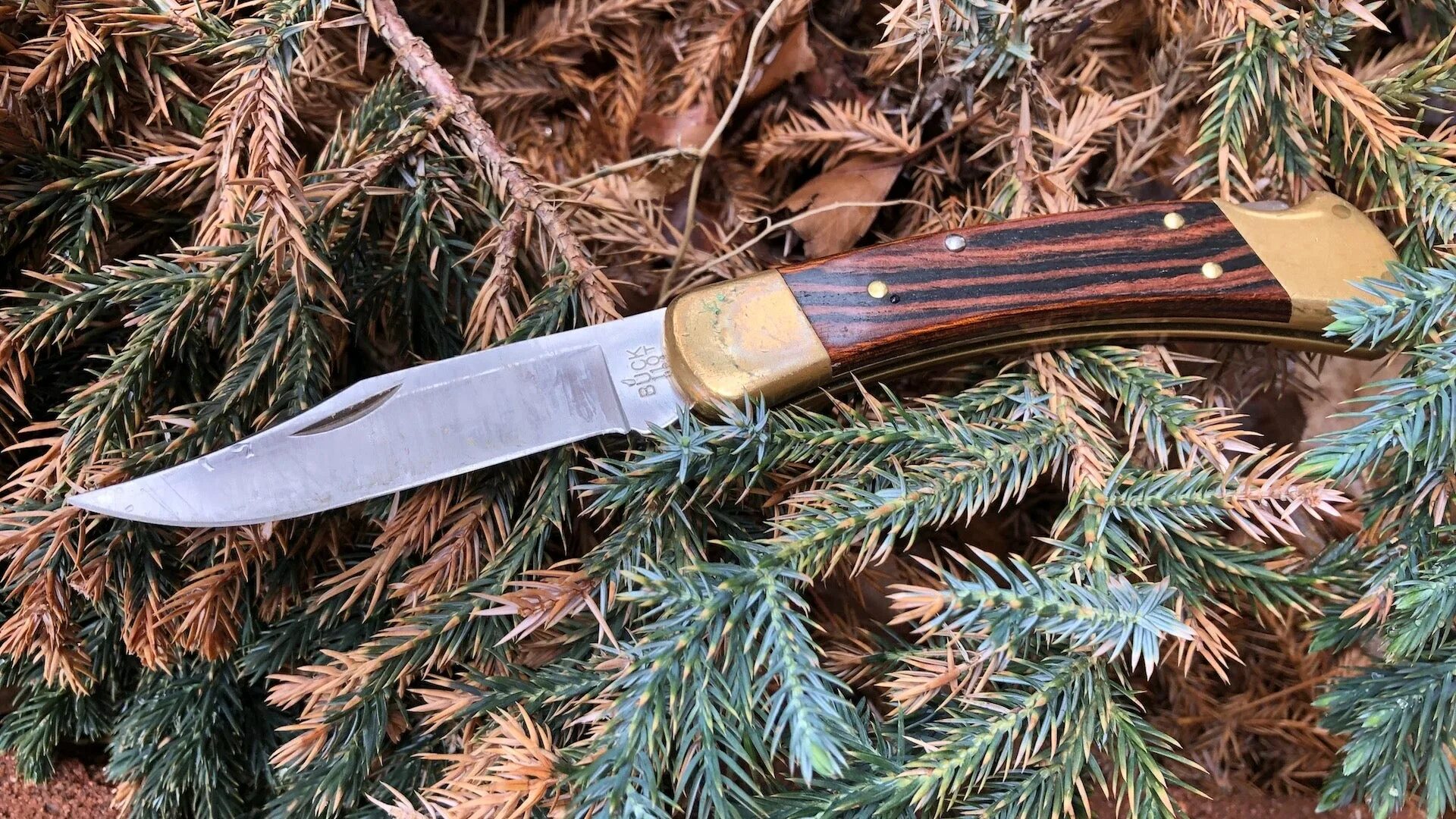 Buck 110 купить. Нож Buck 110. Buck 110 Folding Hunter. Buck Knives 110 Folding Hunter. Складной нож Buck 110.