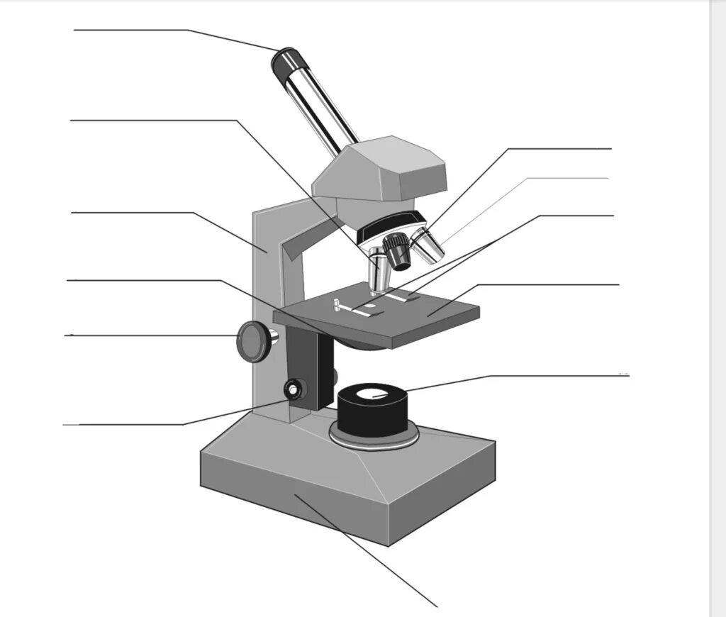 Цифровой микроскоп строение с подписями и названиями. Световой микроскоп строение конденсор. Окуляр микроскопа строение микроскопа. Схема светового биологического микроскопа. Цифровой микроскоп части микроскопа.