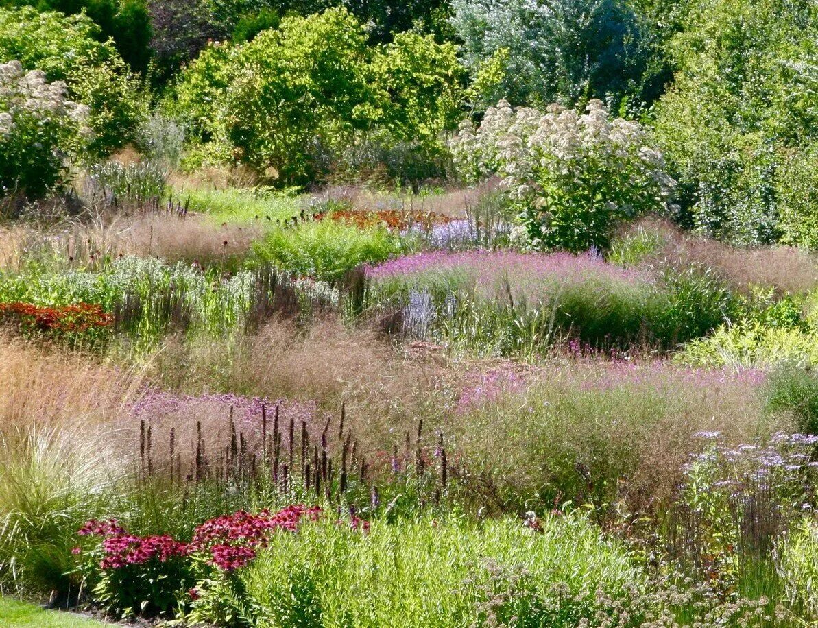 Piet Oudolf at Pensthorpe Millenium Garden, Norfolk England UK man person people