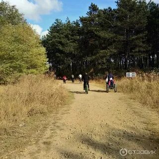 Щепкинский лес ростов на дону прокат велосипедов