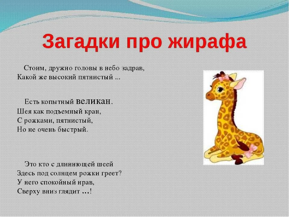 Почему стихотворение названо жираф. Загадка про жирафа. Загадка про жирафа для детей. Загадкапро дирафа. Загадки о жирафах.