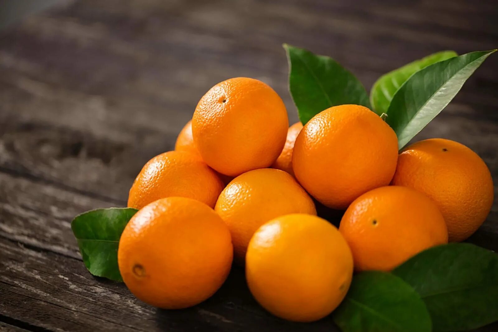 Употребление апельсинов. Померанец цвета оранж. Рутовые, апельсин. Апельсин navel. Апельсин Валенсия.