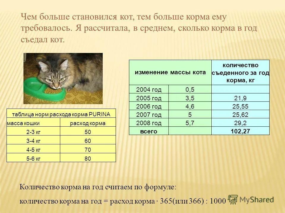 Жизнь кота сколько лет. Сколько живут коты. Средняя Продолжительность жизни котов. Средняя Продолжительность кошачьей жизни. Сколько лет живут кошки.