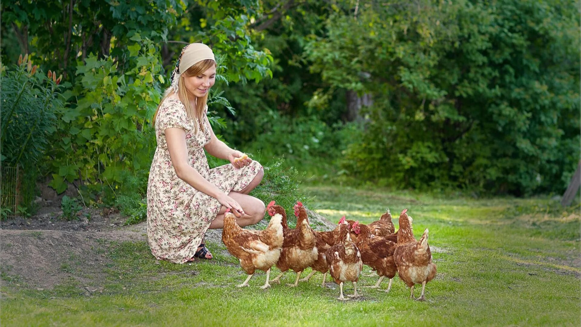 Курицы бузулука. Курочки в деревне. Куры в деревне. Девушка с курицей. Женщина с курами.