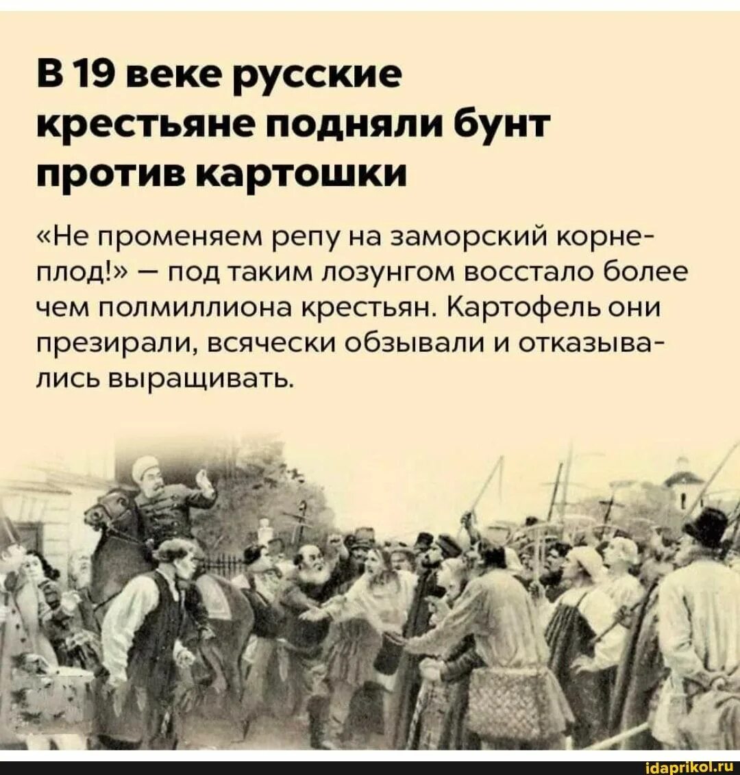 Какие есть бунты в истории