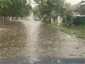 Погода сураж брянской на неделю