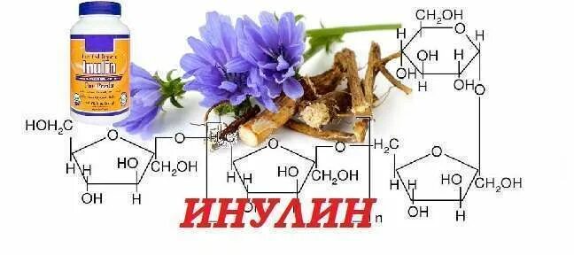 Что такое инулин простыми словами. Инулин. Инсулин. Инулин в растениях. Инулин полисахарид.