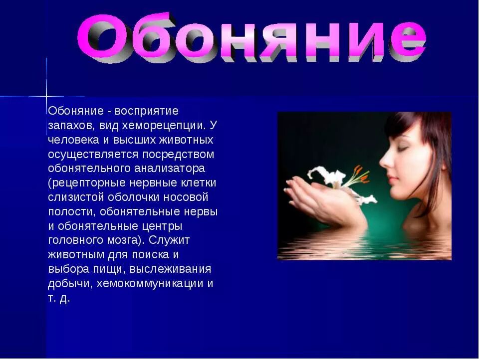 От чего зависит ощущение запаха