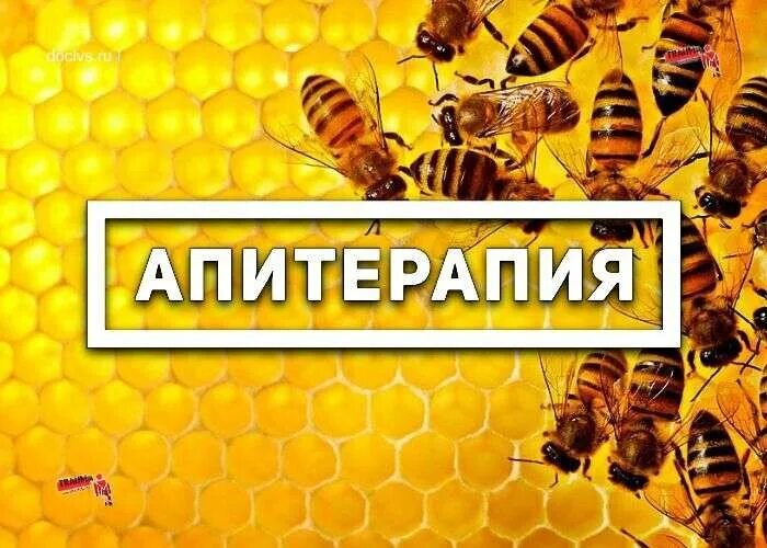 Апитерапия. Апитерапия реклама. Апитерапия Пермь. Пчеловодство апитерапия