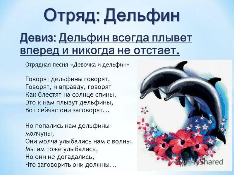 песня дельфины. команда дельфины девиз. песня про дельфина детская. песня про дельфинов. песня про дельфина детская.