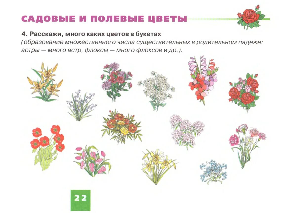 Лексической теме цветы. Полевые цветы задания для дошкольников. Лексическая тема полевые цветы. Лексическая тема цветы. Задания на тему садовые цветы.