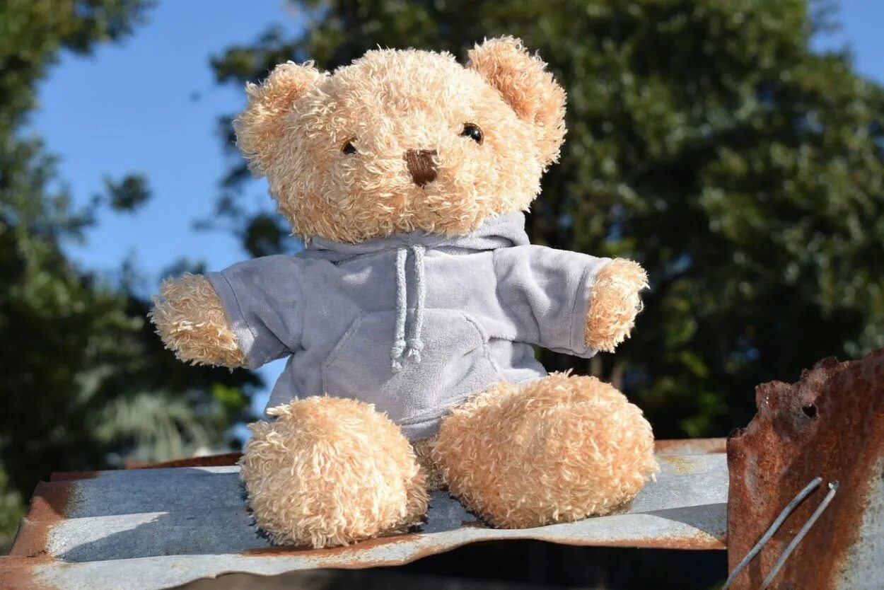 This is my teddy. Тедди беа. Игрушки Тедди. Классический мишка Тедди. Материалы для мишек Тедди.