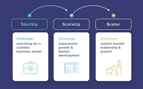 Scale up