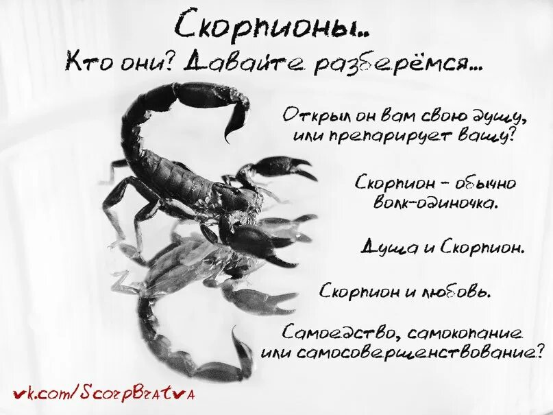 Рождение скорпиона
