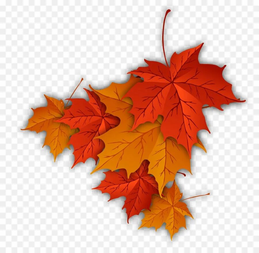 Картинки осенних листьев. Осенний кленовый лист. Листики осенние кленовые. Осенний Калиновый лист. Осенний кленовый листок.