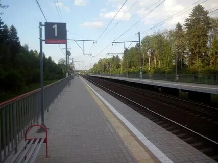 Курская 43 км