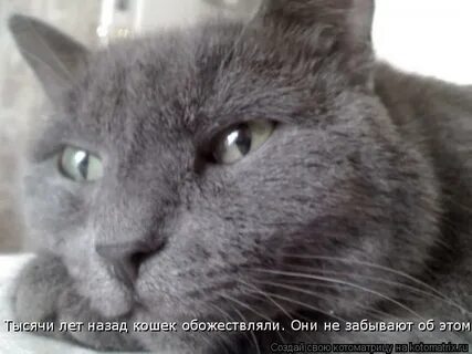 Я вот тут задумалась стало интересно