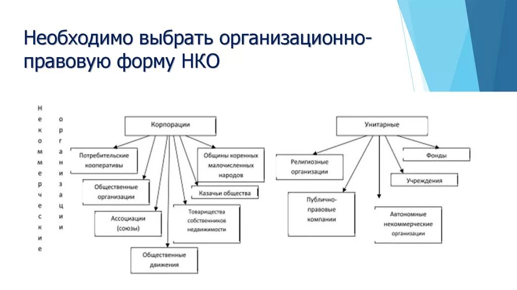 Общественных организациях реферат