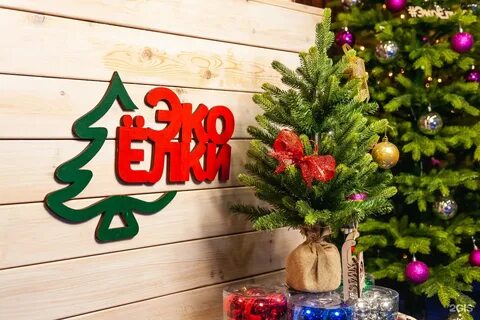 Ели оренбург